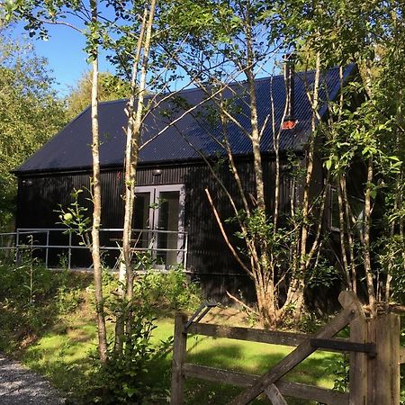 Alder Cabin キルケニー エクステリア 写真