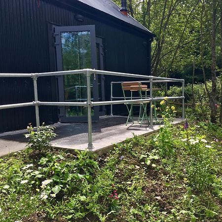 Alder Cabin キルケニー エクステリア 写真