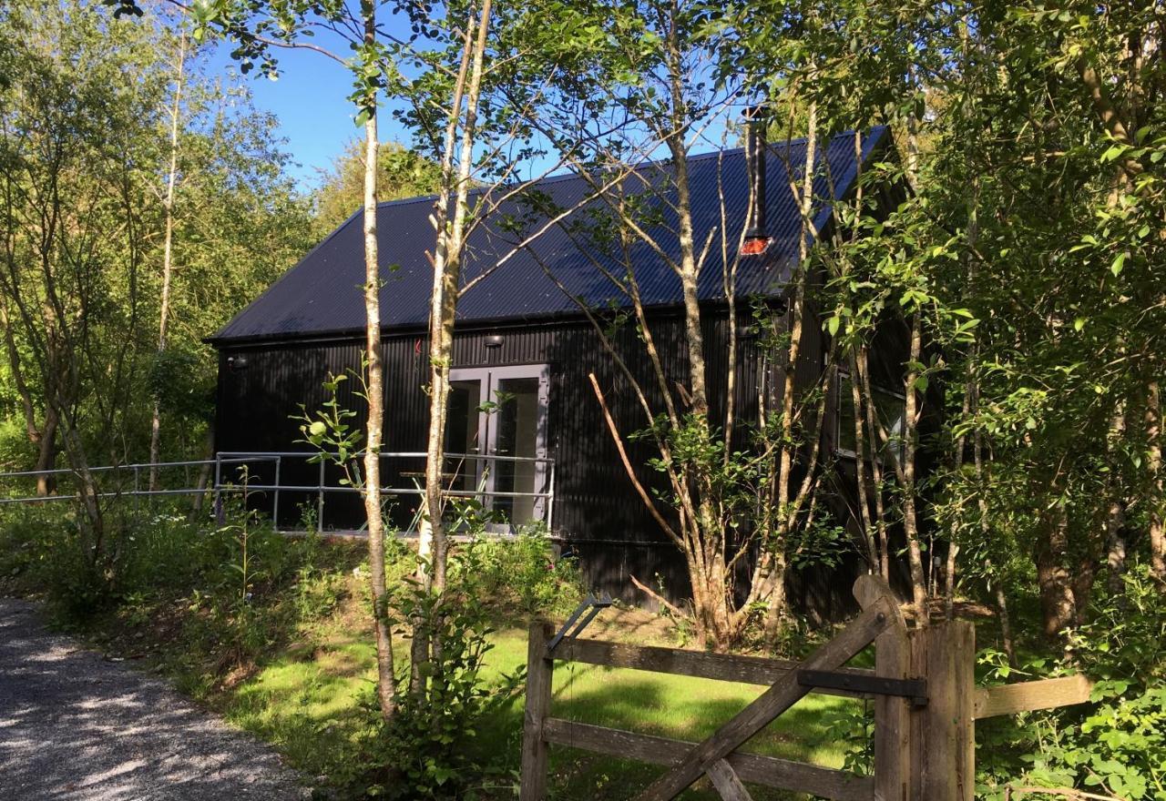 Alder Cabin キルケニー エクステリア 写真